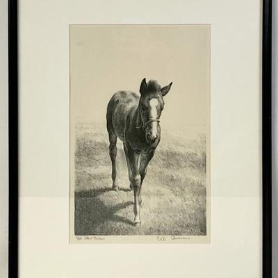 Sale Photo Thumbnail #323