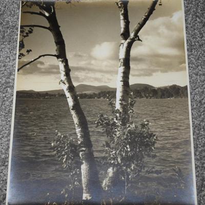 Sale Photo Thumbnail #164