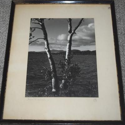 Sale Photo Thumbnail #161