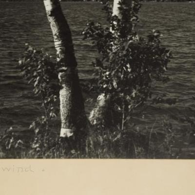 Sale Photo Thumbnail #162