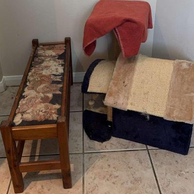 Cat House And Bench