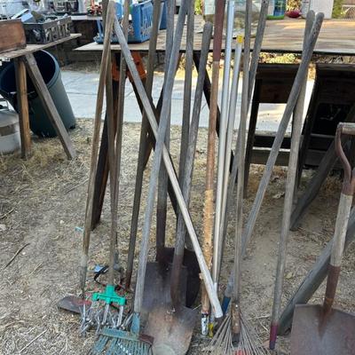 Sale Photo Thumbnail #211