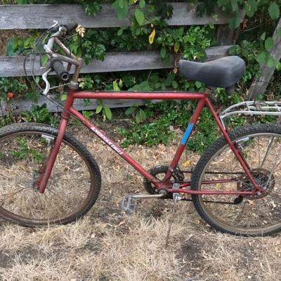 Vintage Bicycle Red