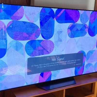 Large, Luxurious LG OLED TV For Exceptional Entertainment - Stand Sold Separately!
