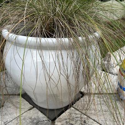Sale Photo Thumbnail #413