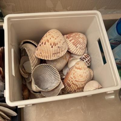 Sale Photo Thumbnail #235