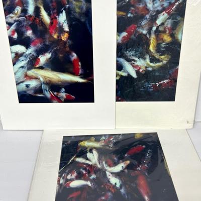Chuck Bress Photography: Koi Abstract Trio (3), Matted 16x20”