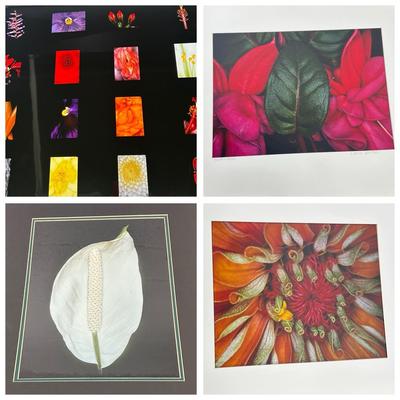 Chuck Bress Photography: Floral Photos (4), Matted 16x20” Lot 1