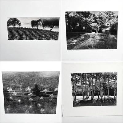 Chuck Bress Photographs: Black & White Landscapes, Matted 16x20” 
