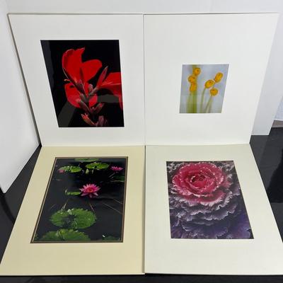 Chuck Bress Photography: Floral Photos (4), Matted 16x20” Lot 2