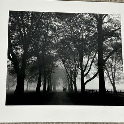 Chuck Bress Signed Black & White Photograph "Blue Bell" Horse 24x30 and Nude 30x24