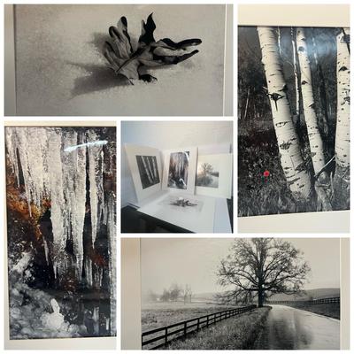 Chuck Bress Photography: Nature, Spring's Promise (4), Matted 16x20”