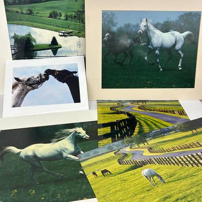 Chuck Bress Photography: Horses & Horse Country (3), Matted 16x20”