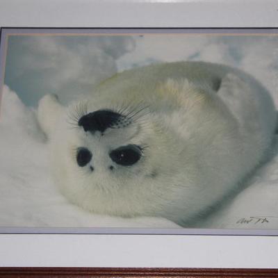 Sale Photo Thumbnail #119