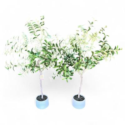 Sale Photo Thumbnail #31: Artificial Olive Trees by Silkcraft of Oregon
