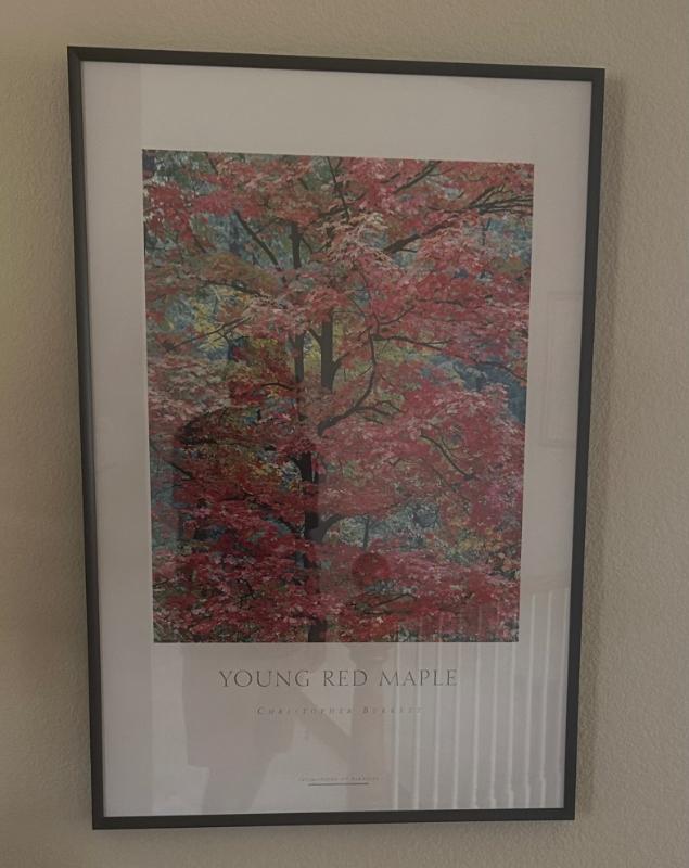 Sale Photo Thumbnail #34