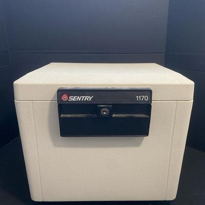 Fireproof Sentry Safe 