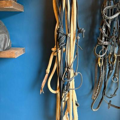 Sale Photo Thumbnail #58: Parelli ropes and halters