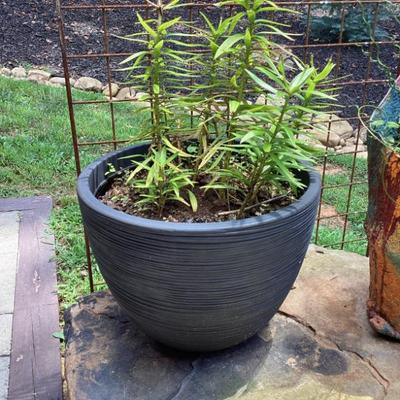Sale Photo Thumbnail #72: Large ceramic blue planter pot