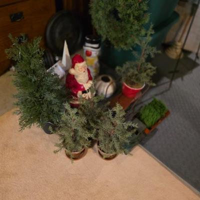 Sale Photo Thumbnail #92