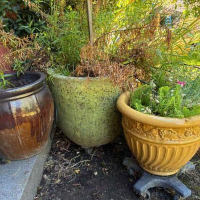 Large ceramic plant pots