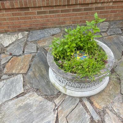 Big Cement Flower Pot