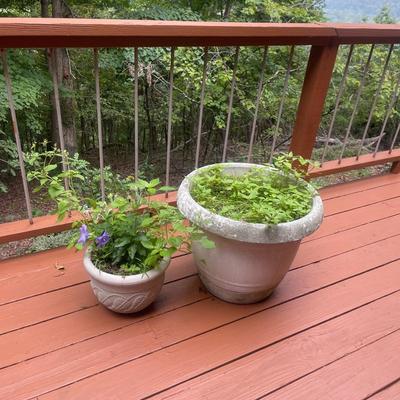 Giant Plastic Pots With Plants 