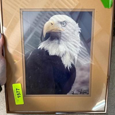 Sale Photo Thumbnail #98