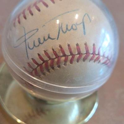 Willie Mays Signed Baseball In Case