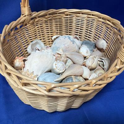 Large Basket Of Seashells From Chincoteague And Florida