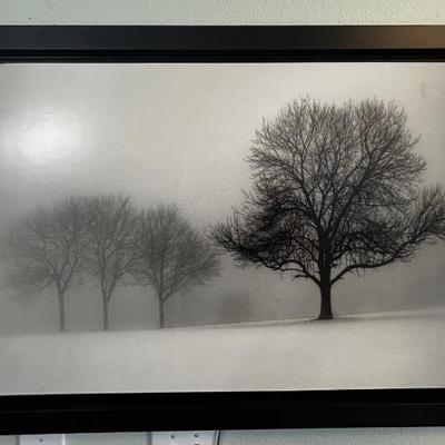 Sale Photo Thumbnail #25