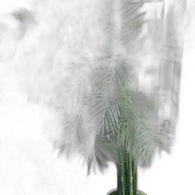 Sale Photo Thumbnail #51