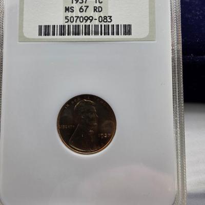 Sale Photo Thumbnail #76