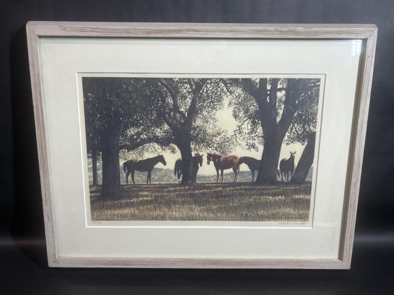 Sale Photo Thumbnail #345