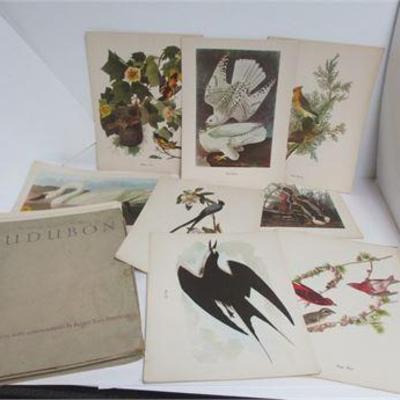 Sale Photo Thumbnail #120