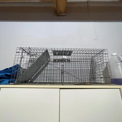 Sale Photo Thumbnail #113