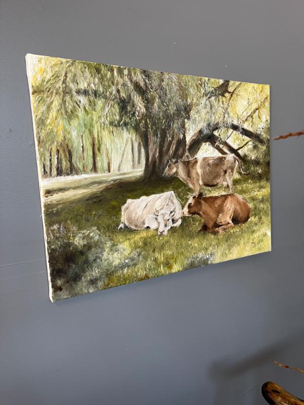 Sale Photo Thumbnail #30