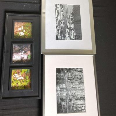 Black & White Photography