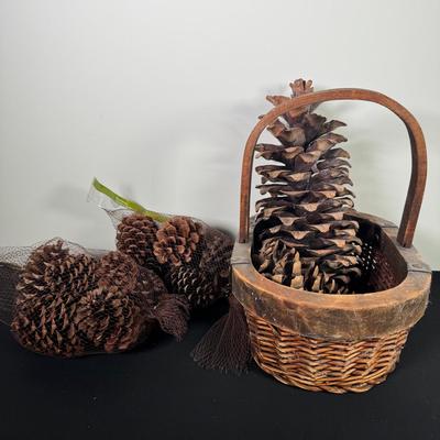 Large Decorative Pinecones