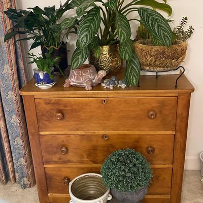 Assorted Live & Faux Plants with Ceramic Pots and Wooden Stool