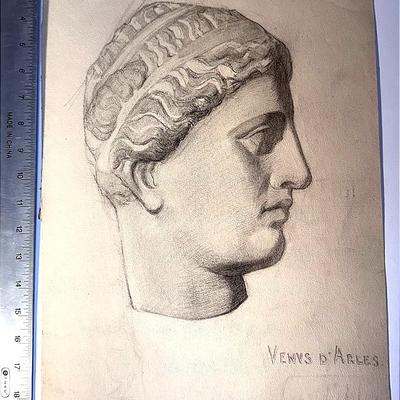 Wirtz #2: Venus D'Arles