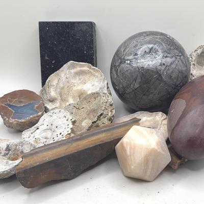 Assorted Minerals: Shiva Lingam, Fossils, Thunder Egg, Tiger Eye Plus More 