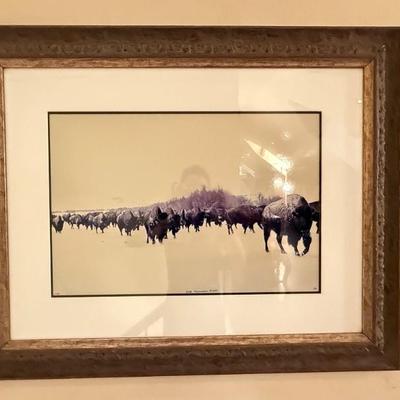 Sale Photo Thumbnail #161
