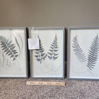 Set of 3 Marmont Hill Botanical Fern Framed Wall Art - 12x18" ea