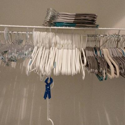 Entire Closet Lot Of 3 Types Hangers -Pants, White Plastic, Velvet & Non-slip
