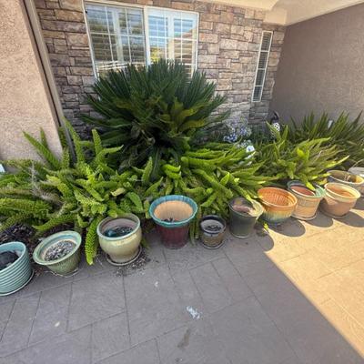 Sale Photo Thumbnail #168