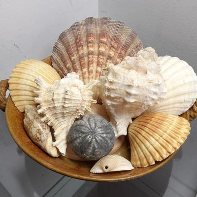 Shells and Signed Pottery Bowl