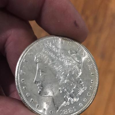 1881-S Morgan Dollars (BUTTT)