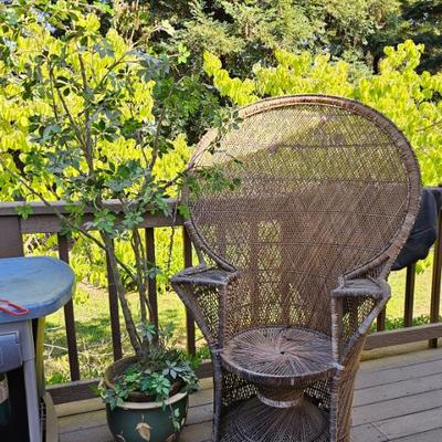 Sale Photo Thumbnail #40