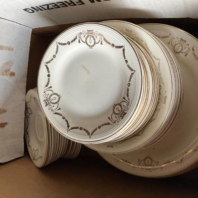 Edwin Knowles semi vitreous china with gold design